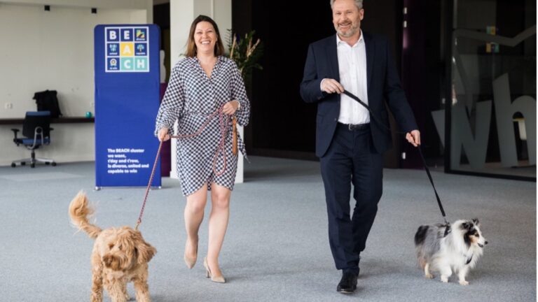 De hond op kantoor