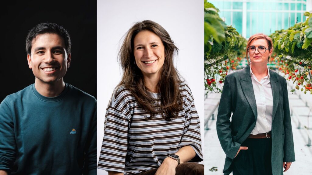 De STEM-kloof is geen tekort aan talent, maar aan richting cover