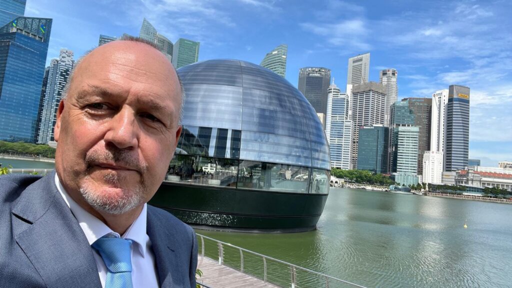 De wetten van de Singaporese jungle cover